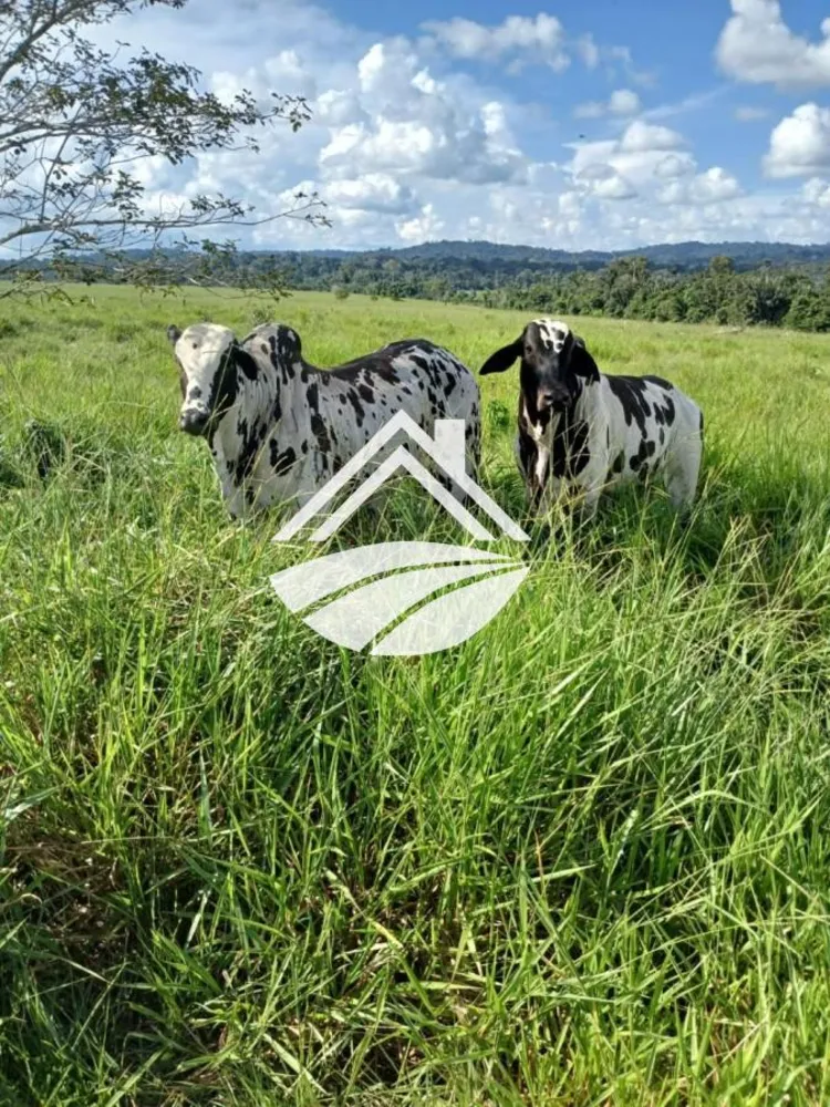 Fazenda, 1 m² - Foto 10