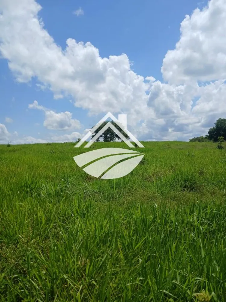 Fazenda, 1084 m² - Foto 5