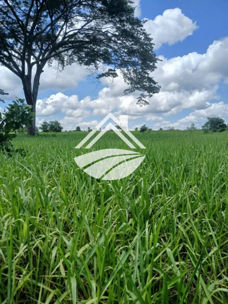 Fazenda, 1084 m² - Foto 11
