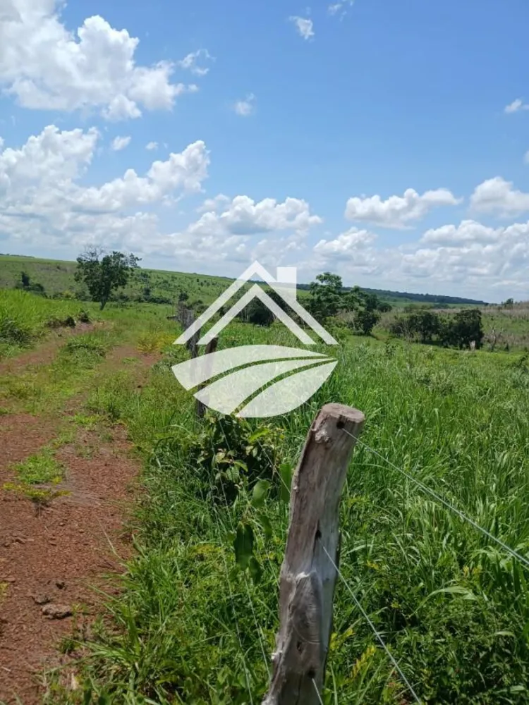 Fazenda, 1084 m² - Foto 6