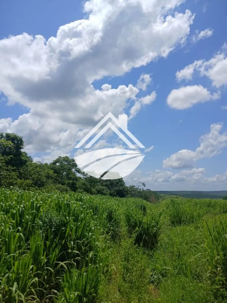 Fazenda, 1084 m² - Foto 5