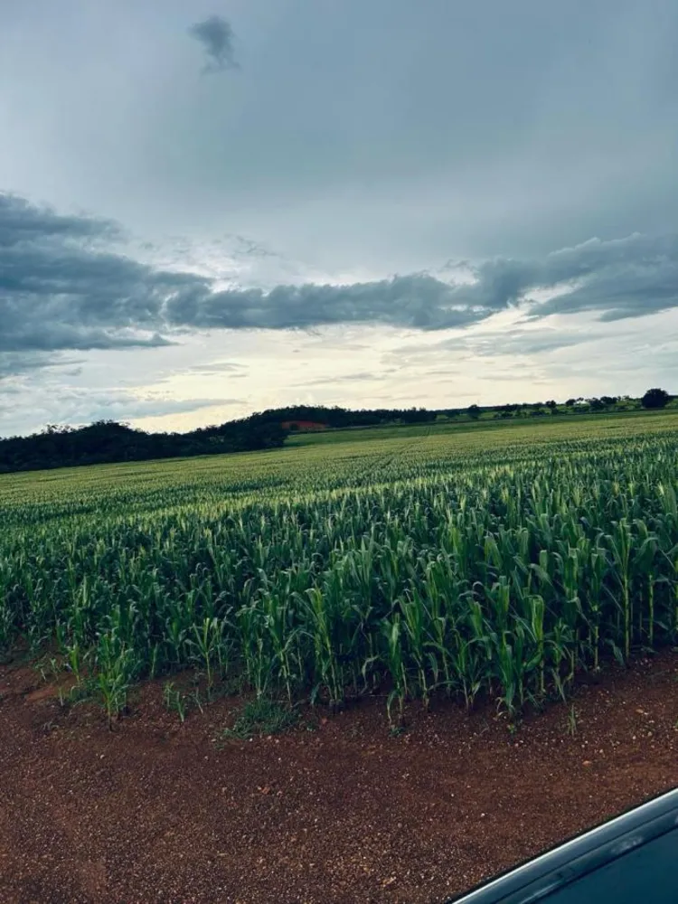 Fazenda, 1 m² - Foto 3