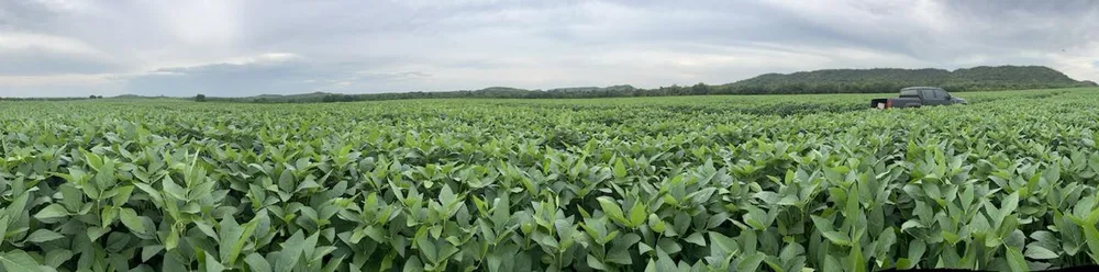 Fazenda, 1 m² - Foto 7