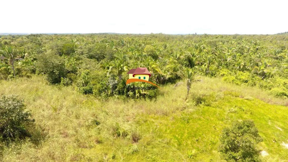Fazenda, 387 hectares - Foto 9