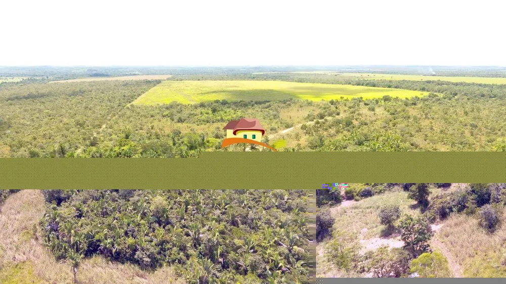 Fazenda, 387 hectares - Foto 5