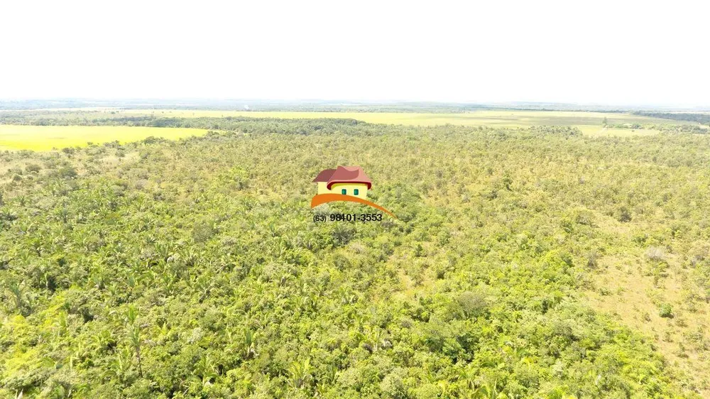 Fazenda, 387 hectares - Foto 8