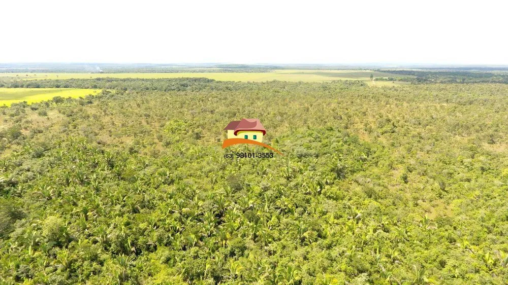 Fazenda, 387 hectares - Foto 4