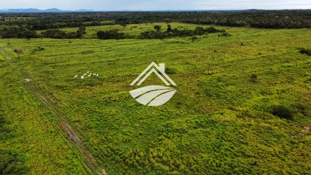 Fazenda, 2545 m² - Foto 1