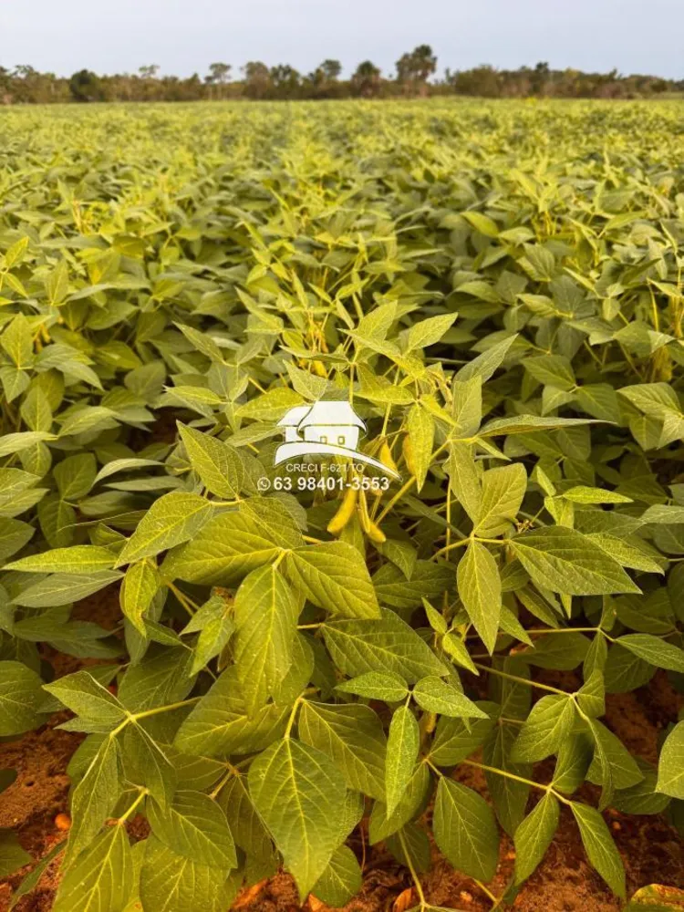 Fazenda, 1 m² - Foto 9