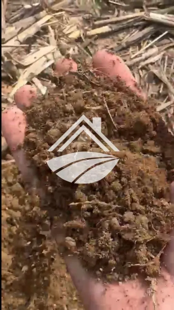 Fazenda, 2216 m² - Foto 3