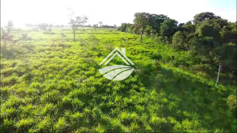 Fazenda, 967 m² - Foto 5