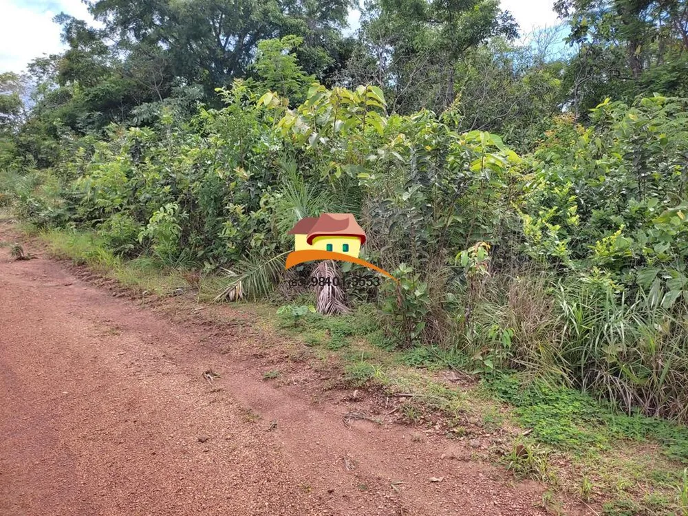 Fazenda, 2516 m² - Foto 3