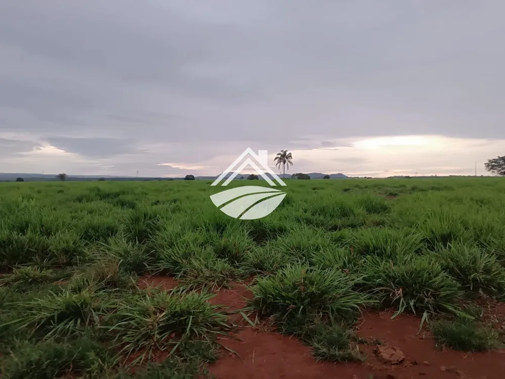 Fazenda, 2057 m² - Foto 6