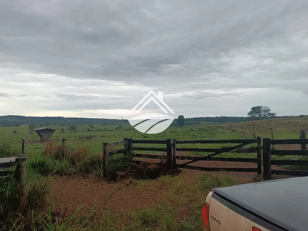 Fazenda, 2057 m² - Foto 10