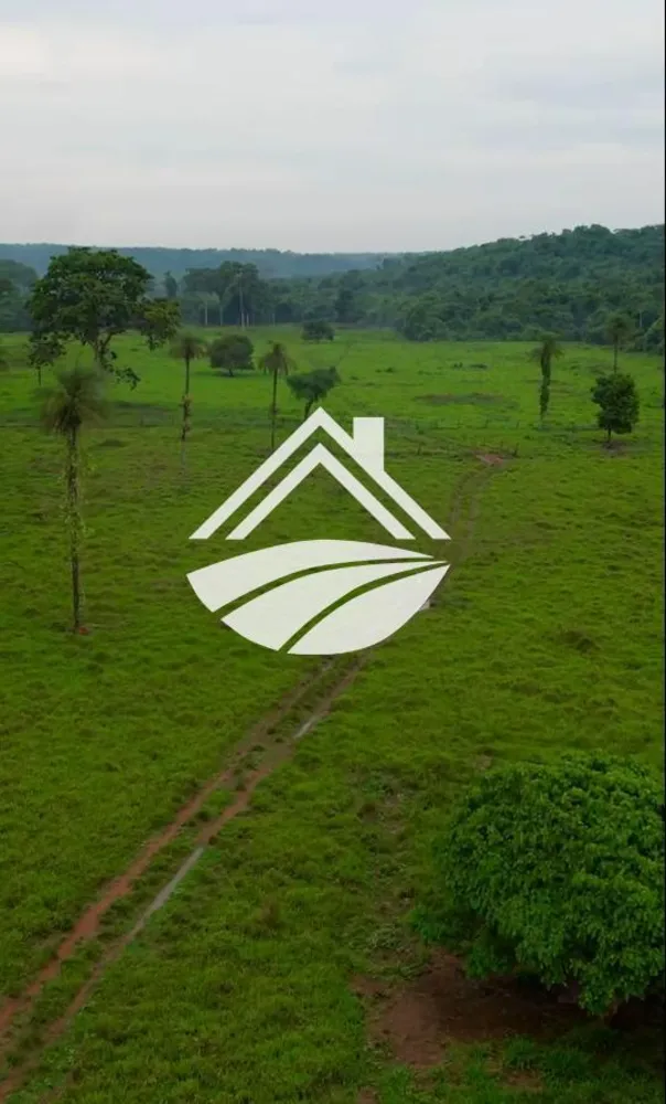 Fazenda, 919 m² - Foto 6