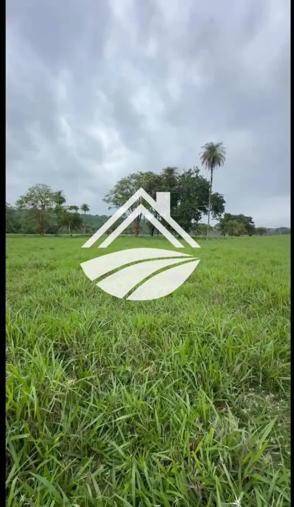 Fazenda, 919 m² - Foto 9