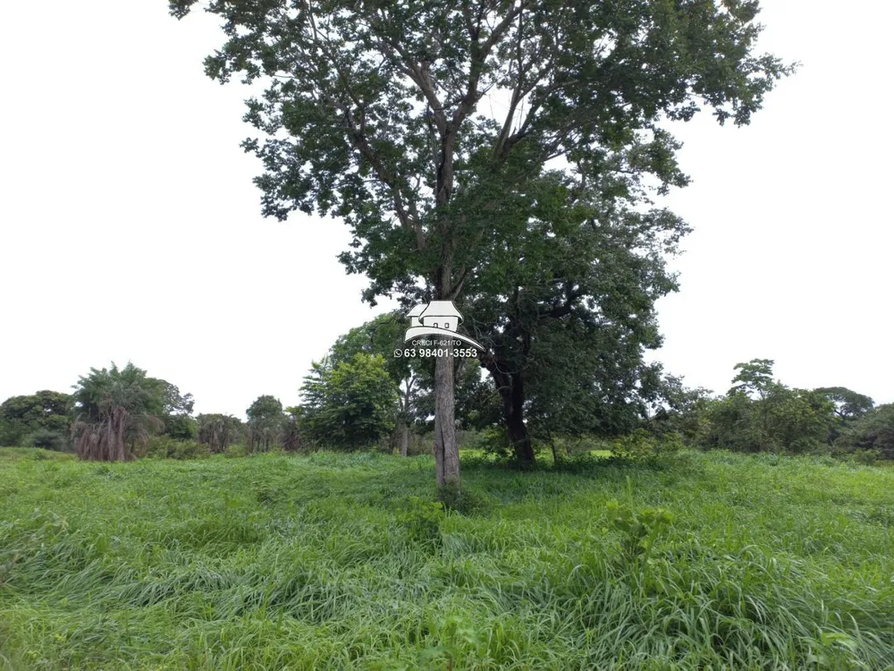 Fazenda, 2130 m² - Foto 2