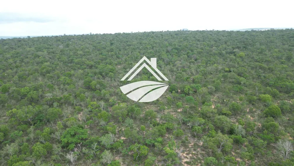Fazenda, 343 hectares - Foto 4