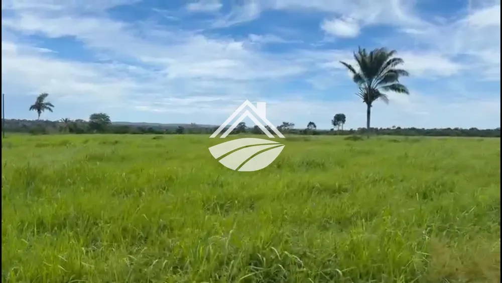 Fazenda, 2226 m² - Foto 3