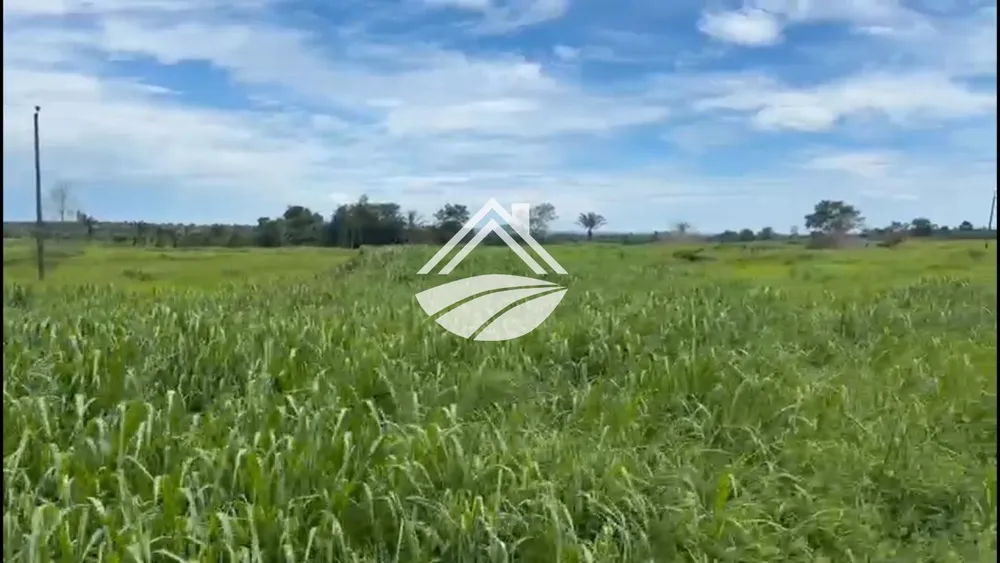 Fazenda, 2226 m² - Foto 7