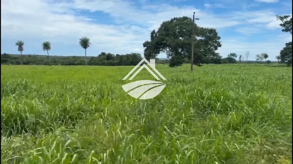 Fazenda, 2226 m² - Foto 8