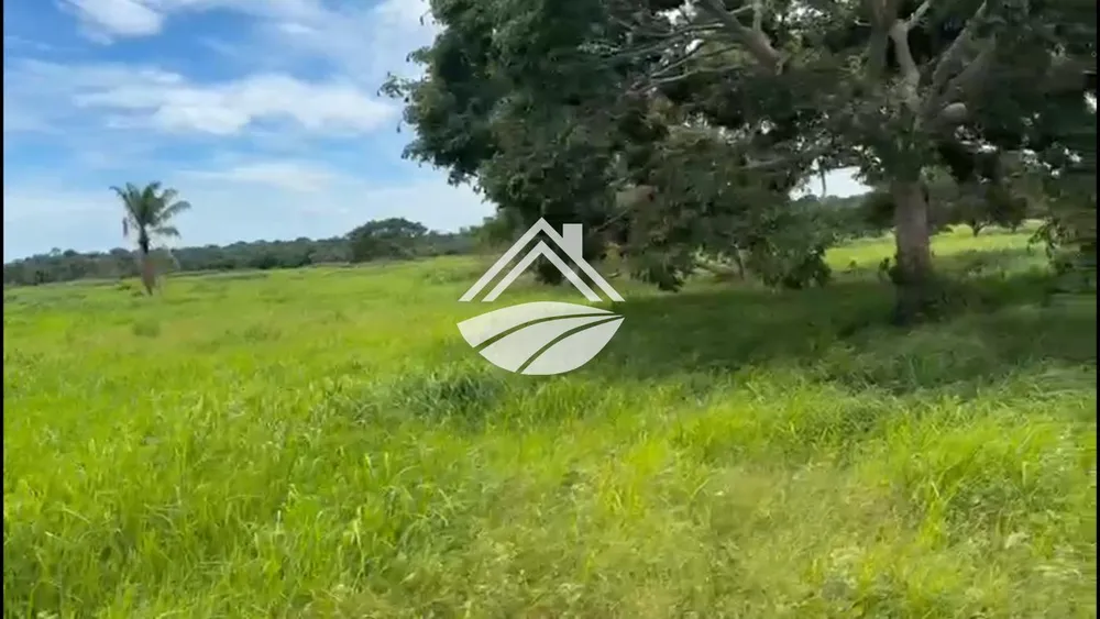 Fazenda, 2226 m² - Foto 6