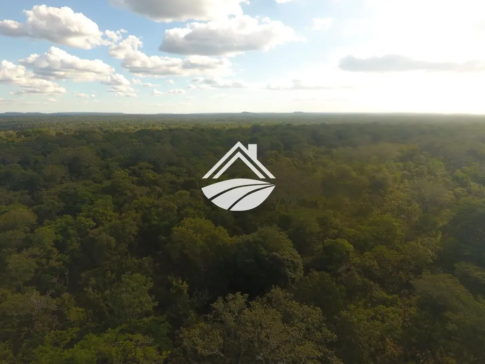 Fazenda, 1 m² - Foto 4