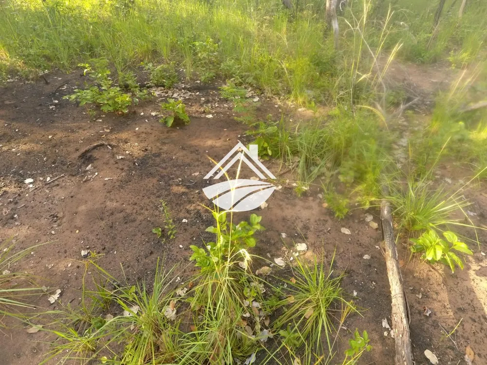 Fazenda, 1 m² - Foto 10