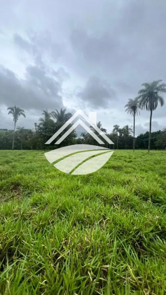 Fazenda, 624 m² - Foto 2