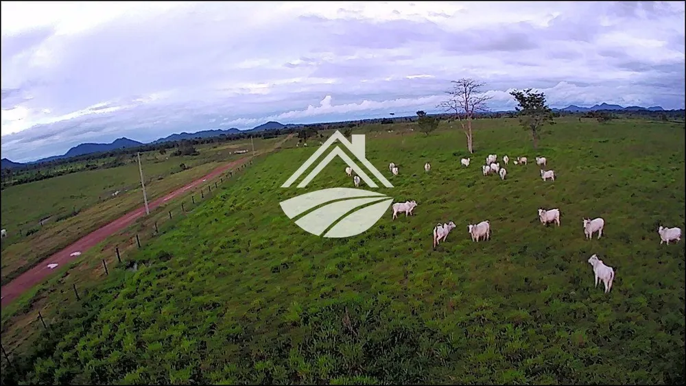 Fazenda, 2478 m² - Foto 7