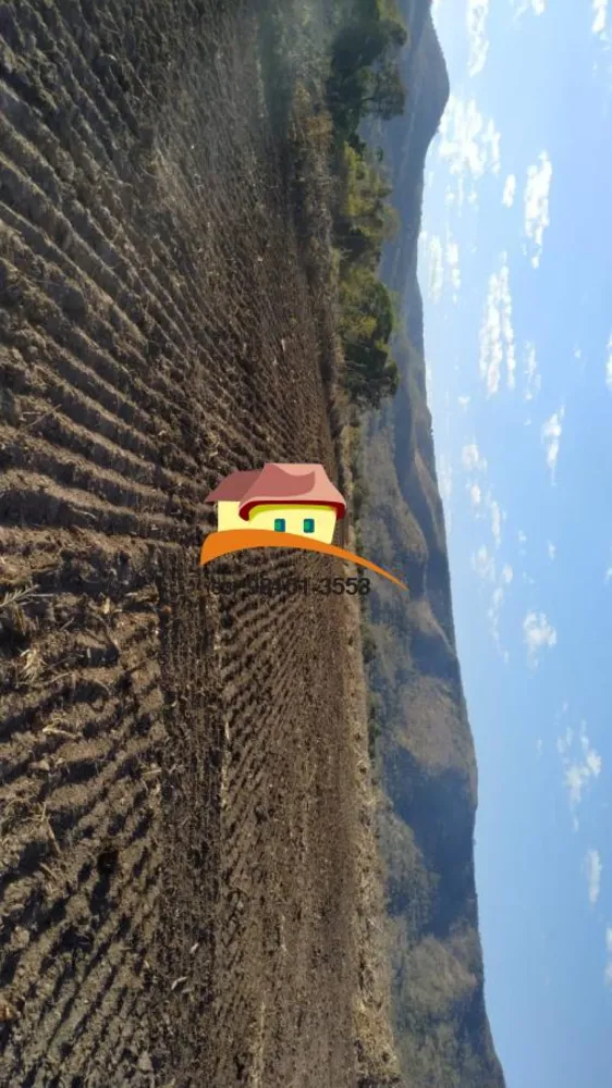Fazenda, 1519 m² - Foto 6