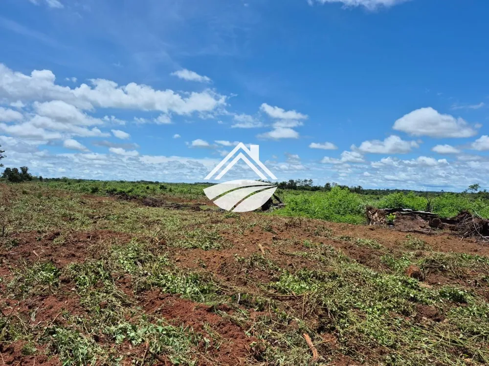Fazenda, 687 m² - Foto 7