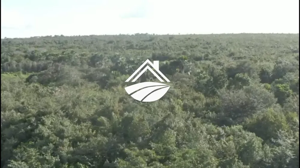 Fazenda, 1 m² - Foto 5