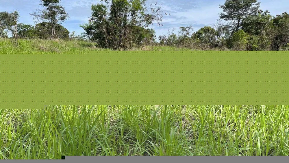 Fazenda, 1000 m² - Foto 3