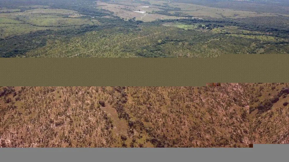 Fazenda, 1000 m² - Foto 6