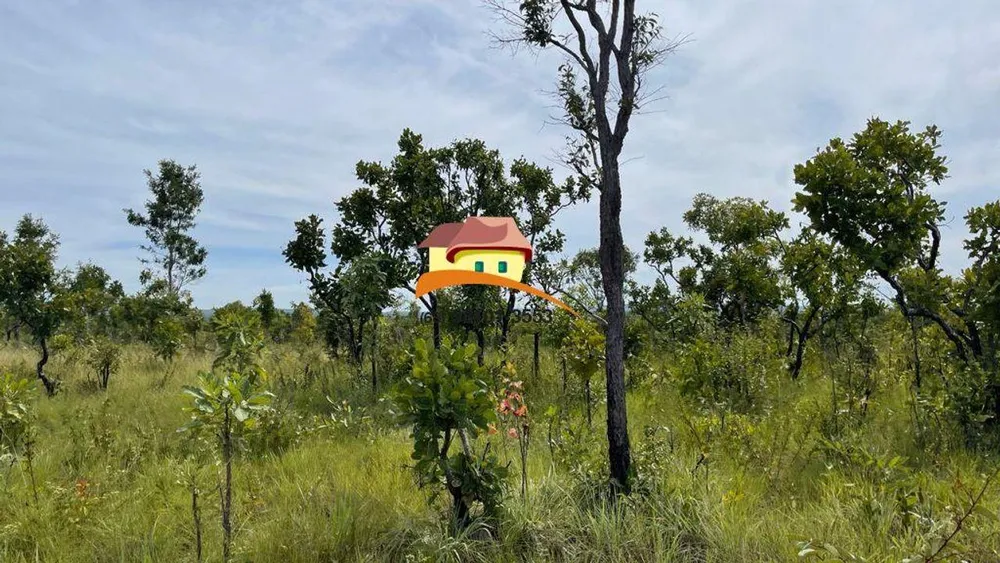 Fazenda, 1000 m² - Foto 1