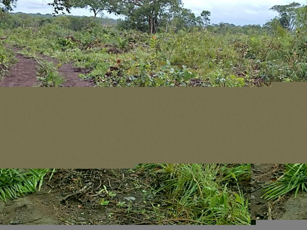 Fazenda, 1 m² - Foto 4