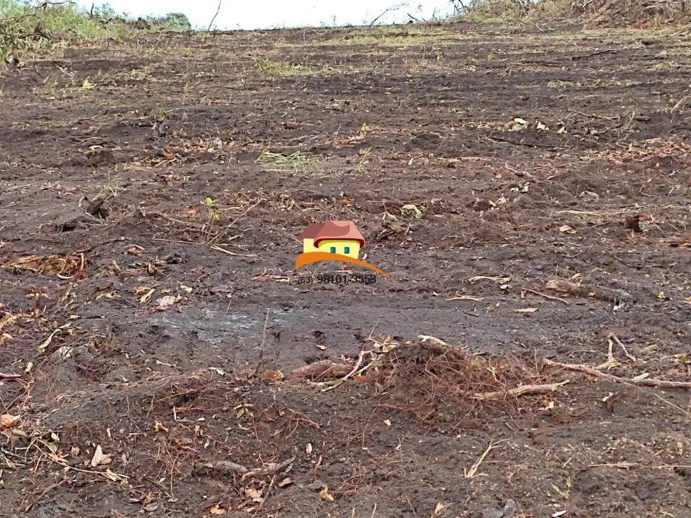 Fazenda, 1 m² - Foto 11