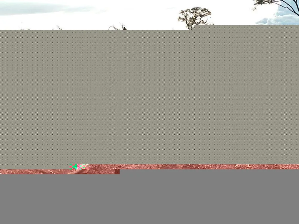 Fazenda, 1 m² - Foto 5