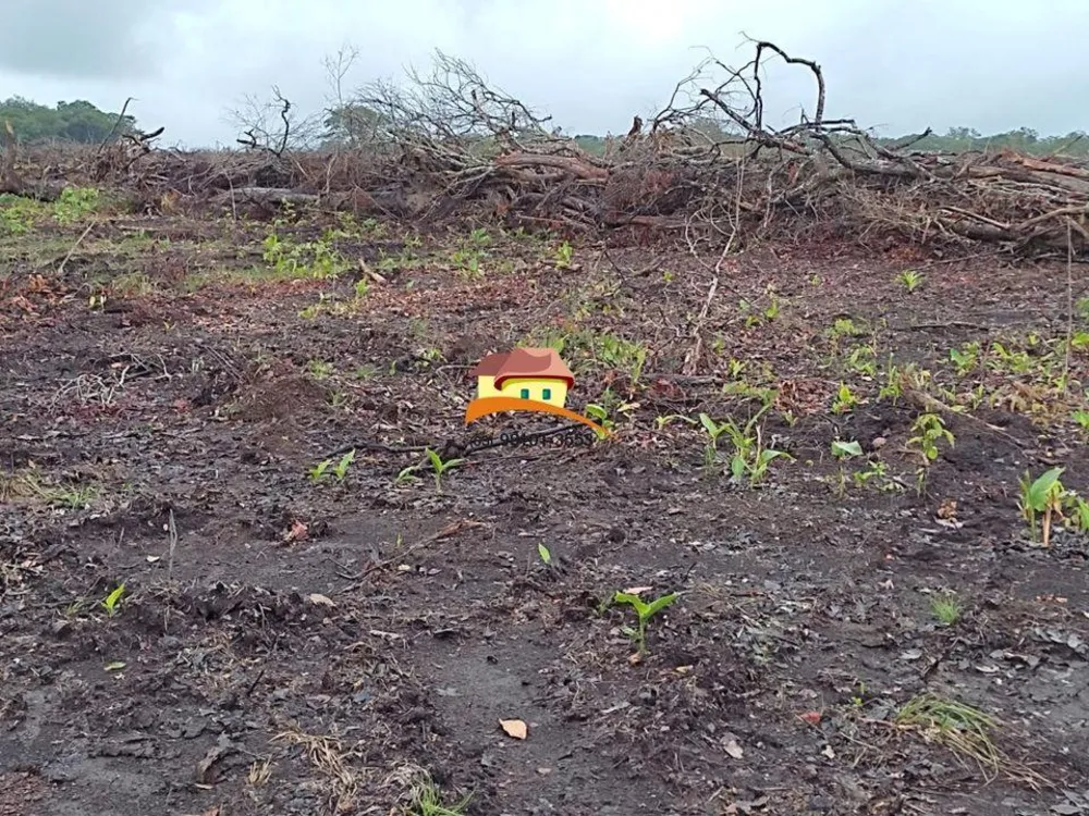 Fazenda, 1 m² - Foto 11