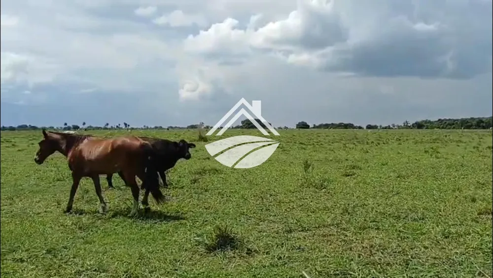 Fazenda, 1597 m² - Foto 4