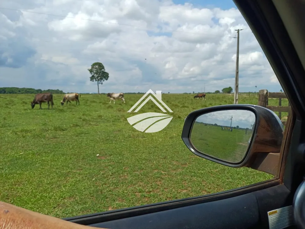 Fazenda, 1597 m² - Foto 6