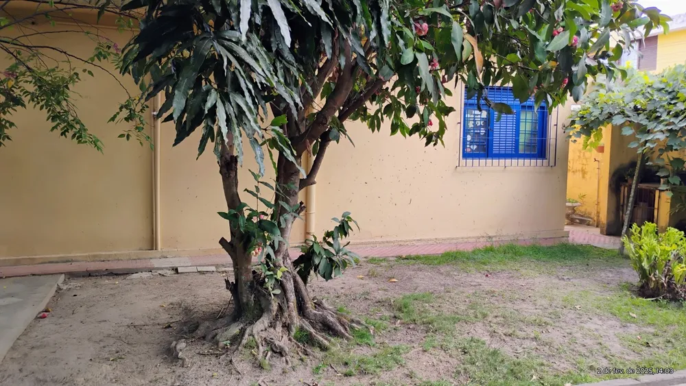 Casa, 3 quartos, 360 m² - Foto 13