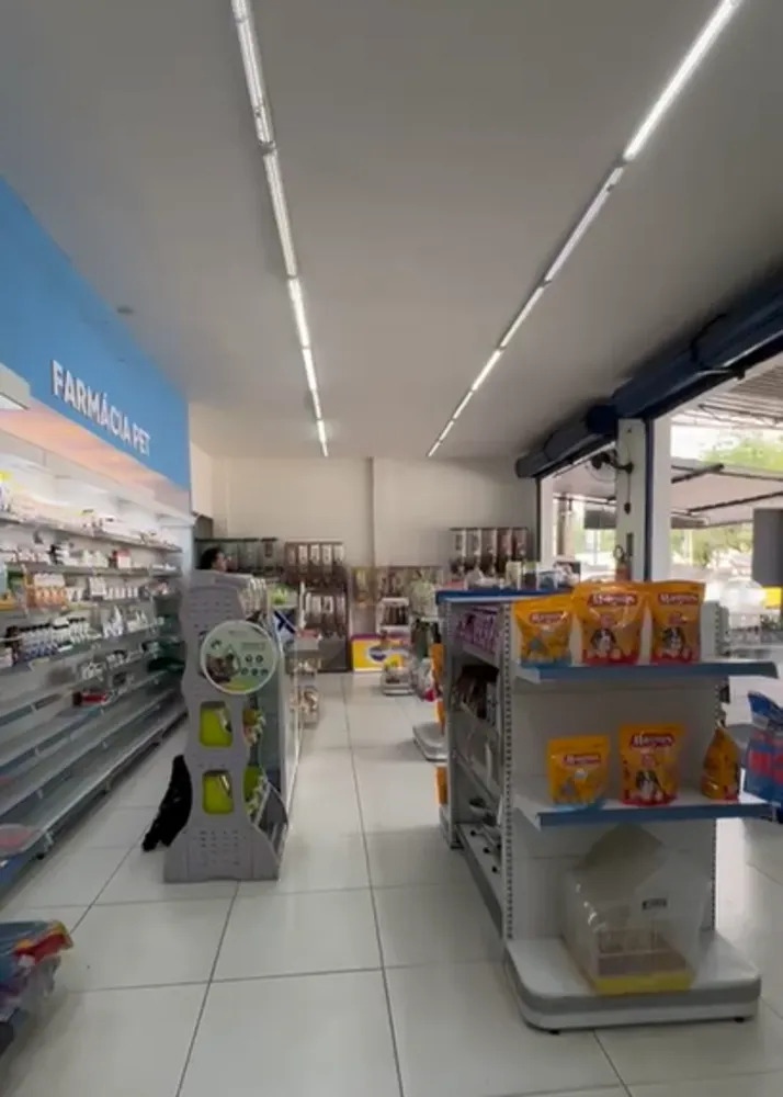 Prédio Inteiro, 290 m² - Foto 12