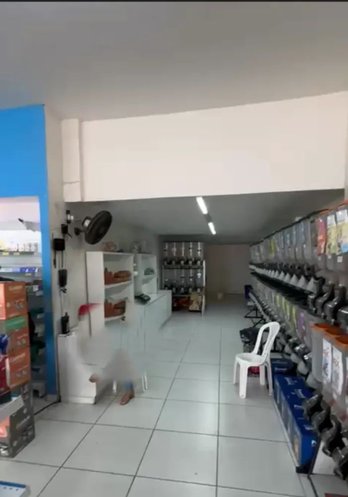Prédio Inteiro, 290 m² - Foto 20