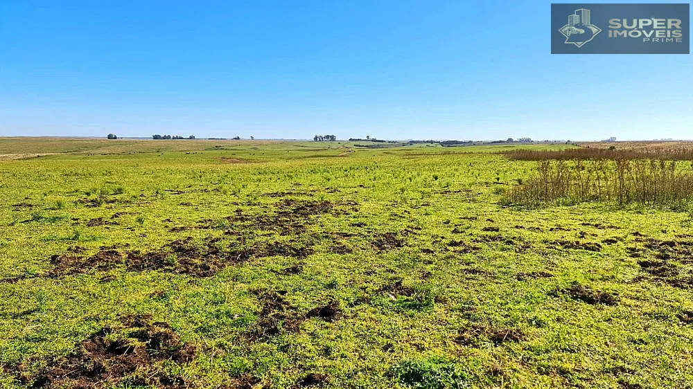 Fazenda, 188 hectares - Foto 2