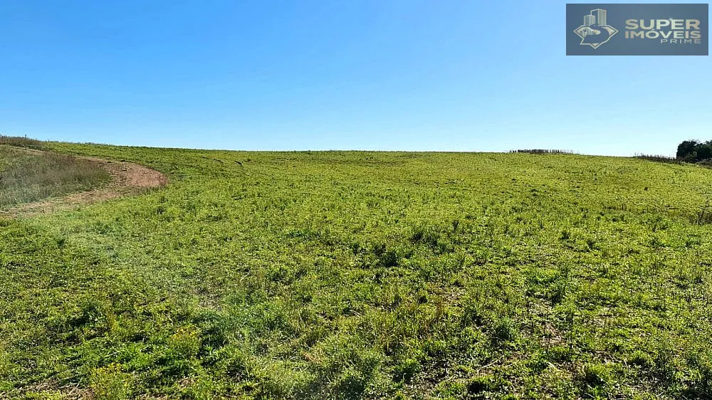 Fazenda, 188 hectares - Foto 4