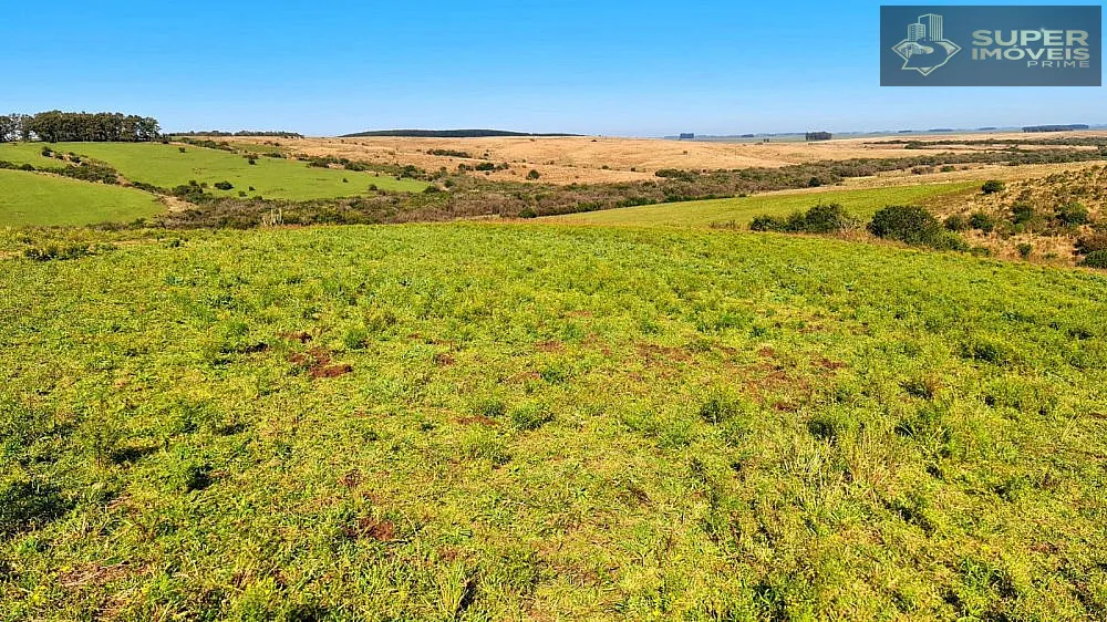 Fazenda, 188 hectares - Foto 3