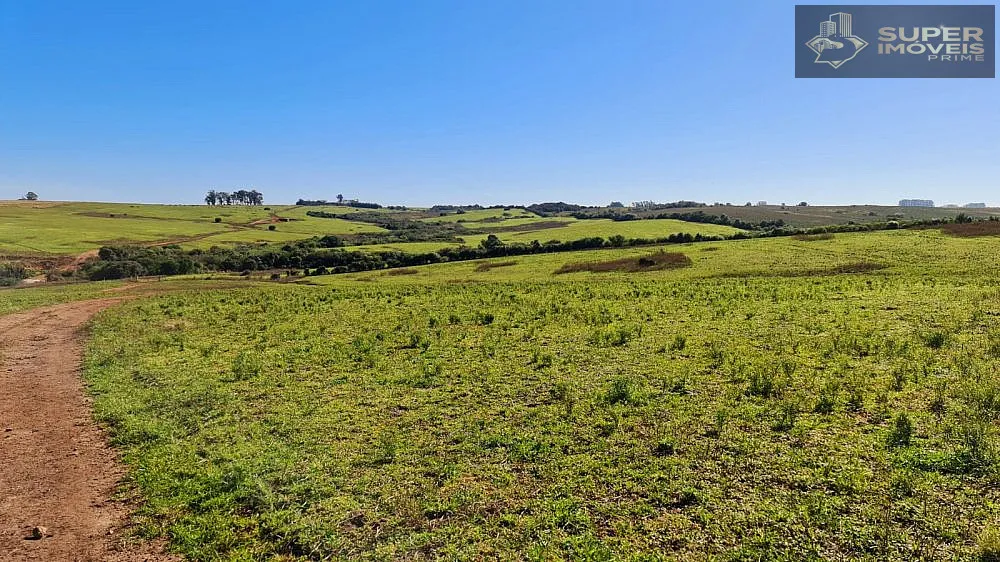 Fazenda, 188 hectares - Foto 3