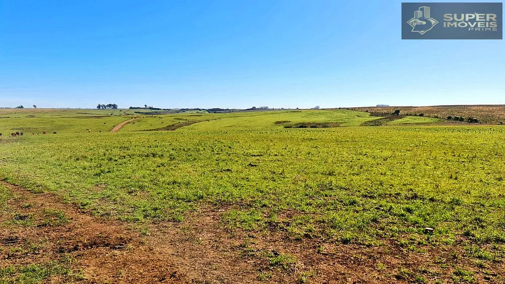 Fazenda, 188 hectares - Foto 1